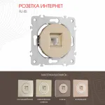 Розетка интернет, RJ45 202.45-1.shampan от ImperiumLoft
