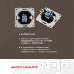 Розетка интернет, RJ45 202.45-1.shampan от ImperiumLoft