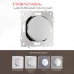Переключатель одноклавишный перекрёстный, 10AX 250V 202.34-1.silver от ImperiumLoft
