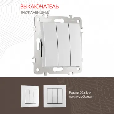 Выключатель трёхклавишный, 10AX 250V 206.30-3.silver