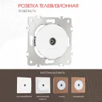 Розетка TV 202.43-1.white от ImperiumLoft