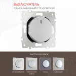 Выключатель одноклавишный с подсветкой, 10AX 250V 202.31-1.silver от ImperiumLoft