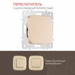 Переключатель одноклавишный перекрёстный, 10AX 250V 205.34-1.shampan от ImperiumLoft