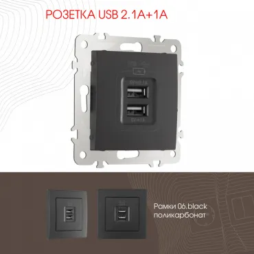 Розетка USB 2.1А+1А 206.46-1.black Розетка USB 2.1А+1А 206.46-1.black