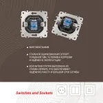 Розетка телефонная RJ11 203.51-1.shampan от ImperiumLoft