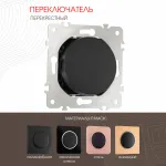 Переключатель одноклавишный перекрёстный, 10AX 250V 202.34-1.black от ImperiumLoft