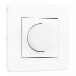 Комплект - диммер 500W с рамкой однопостовой Arte Milano SET16-1-48-1 white от ImperiumLoft