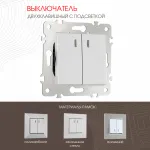 Выключатель двухклавишный с подсветкой, 10AX 250V 203.31-2.silver от ImperiumLoft