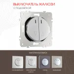 Выключатель жалюзи с подсветкой, 10A 250V 202.39-2.silver от ImperiumLoft