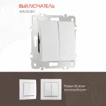 Выключатель жалюзи, 10A 250V 206.38-2.silver от ImperiumLoft