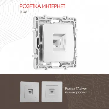 Розетка интернет, RJ45 217.45-1.silver