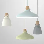 Подвесной светильник BlessLight 9206A 30808