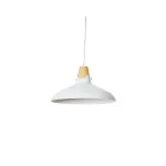 Подвесной светильник BlessLight 9206B 30812