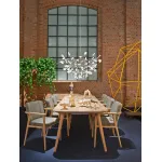 Подвесная люстра BlessLight Heracleum Moooi D72 12053