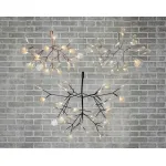 Подвесная люстра BlessLight Heracleum Moooi D72 12053