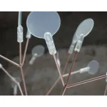 Подвесная люстра BlessLight Heracleum Moooi D72 12053