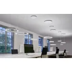 Светильник BlessLight Mito Sospeso 17503 от ImperiumLoft