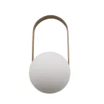 Светильник настольно-настенный Carrie BlessLight bl_20276 от ImperiumLoft