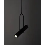 Подвесная люстра BlessLight FIA6003 20286