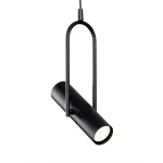 Подвесная люстра BlessLight FIA6003 20286