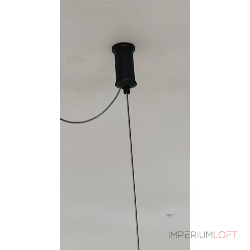 Подвесная люстра BlessLight Ledio 21618