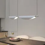 Подвесная люстра BlessLight Ledio 21619