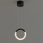 Подвесная люстра BlessLight Loop 21775