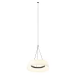 Подвесная люстра BlessLight Lily 21781