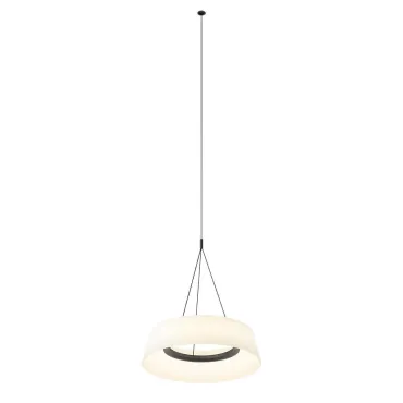 Подвесная люстра BlessLight Lily 21781