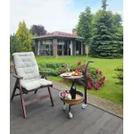 Сервировочный столик BlessLight JK-D191 4621 от ImperiumLoft