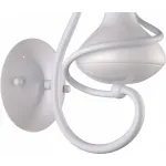 Бра Arte Lamp Vaso A6819AP-1WH от ImperiumLoft