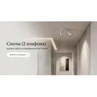 С 2 плафонами