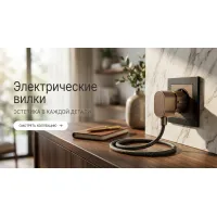 Вилки электрические