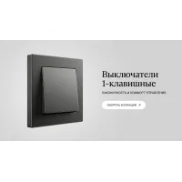 1 клавишные
