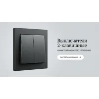 2 клавишные