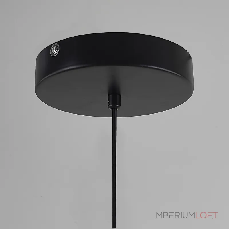 Подвесной светильник SUSPENSION CERCLE ET TRAIT – GRAPHITE SATINE L170 от ImperiumLoft