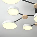 Потолочная люстра GAMMA D102 White