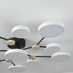 Потолочная люстра GAMMA D102 White