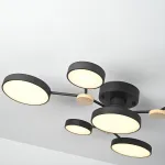 Потолочная люстра GAMMA D88 Black