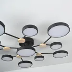 Потолочная люстра GAMMA D102 Black