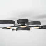 Потолочная люстра GAMMA D102 Black