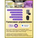 Умный потолочный светильник Citilux Альпина Смарт CL718A60G