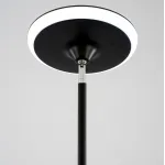 Торшер Citilux Click CL810021 от ImperiumLoft