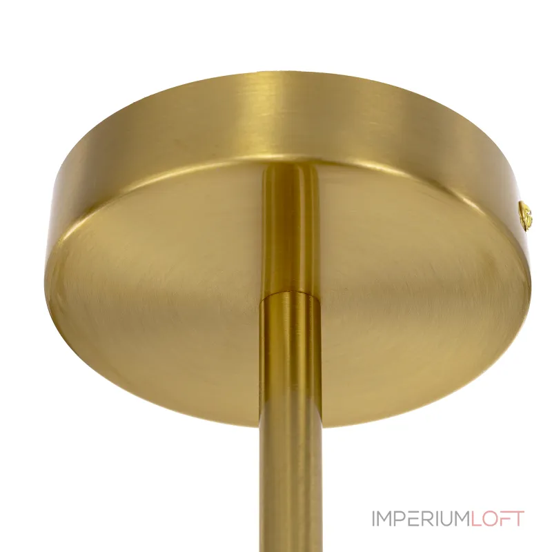 Потолочная люстра Citilux RONNYCL242193