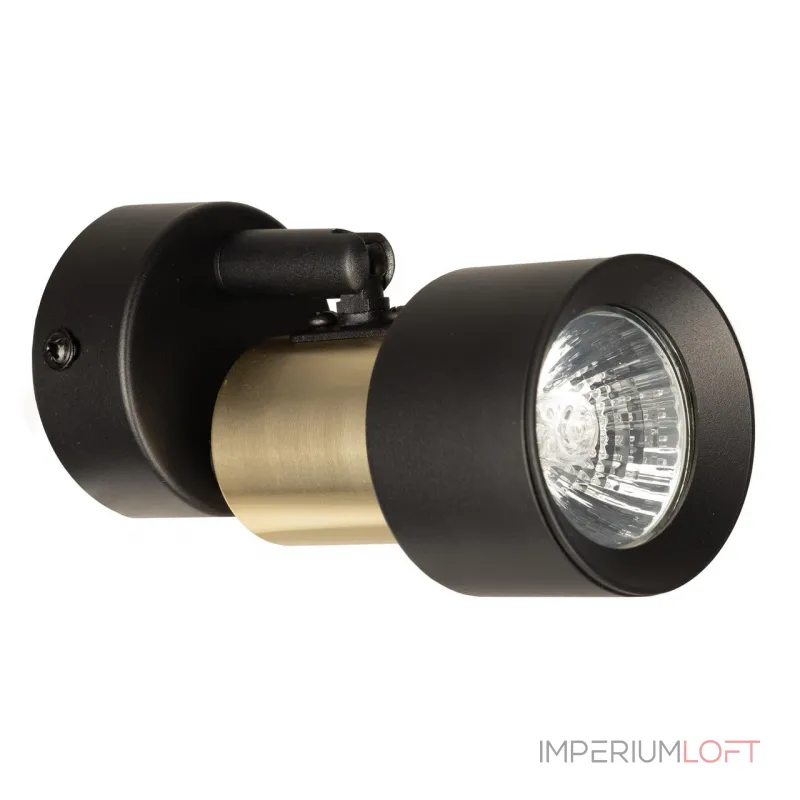 Спот поворотный Citilux SAT CL505611 от ImperiumLoft