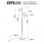 Торшер Citilux Twin CL809010N от ImperiumLoft