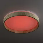 Светильник потолочный Citilux ENZO CL753352G от ImperiumLoft