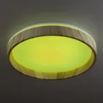 Светильник потолочный Citilux ENZO CL753352G от ImperiumLoft