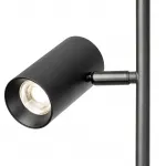 Торшер Citilux Twin CL809011N от ImperiumLoft