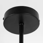 Люстра на штанге Citilux FISHER CL218163